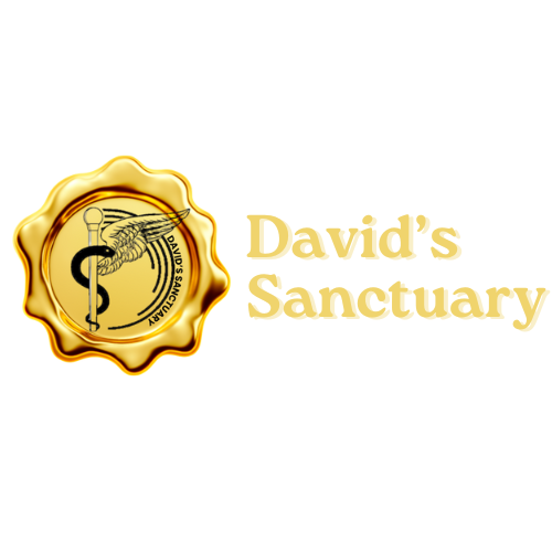 David's Sanctuary Store